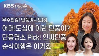 [라디오 전국일주] 우주최강! 단풍여지도(3) 어머!도심에 이런 단풍이? 단풍명소 Pick! 인싸단풍 순삭여행은 이거죠 (10월18일)