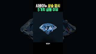시바이누 상승 근거 5가지
