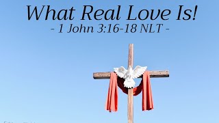 Catholic Mass Gospel and Reflection for June 4, 2023 - John 3:16-18 Nicodemus Visits Jesus