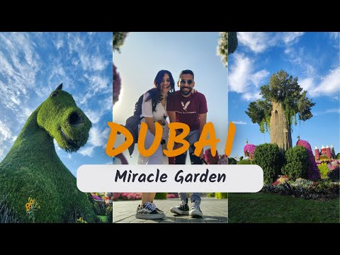 Dubai Miracle Garden | رحلة مليئة بالجمال والألوان