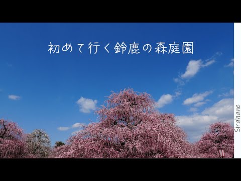 My first impressions of visiting Suzuka Forest Garden