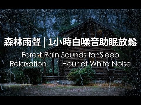 Forest Rain Sounds for Sleep 森林雨聲 1小時白噪音助眠放鬆 Relaxation | 1 Hour of White Noise for Stress Relief