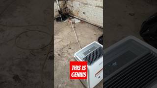 Dehumidifier + Sump Pump = A Dry, Healthy Basement 💧✅