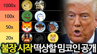 밈코인 대불장 시작, 가장 많이 상승할 밈코인 TOP5 공개