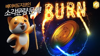 베이비도지코인 소각물량 문제! (feat.번포탈) 【베이비도지코인 알아보기】