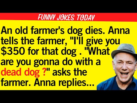 Funny Daily Jokes: 🤣 Heartwarming Dog Story! BEST JOKE OF THE DAY!: