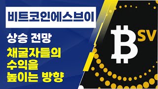 비트코인에스브이(BSV) 상승 전망: 채굴자들의 수익을 높이는 방향