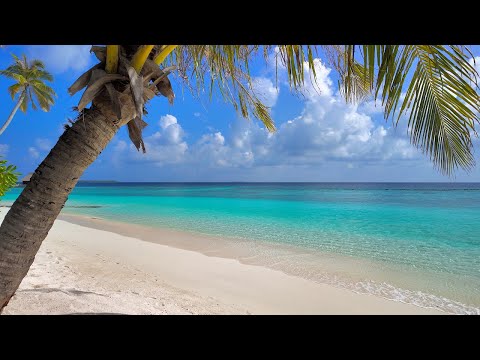 🌴 The Most Beautiful Beach in All of The Maldives Islands
