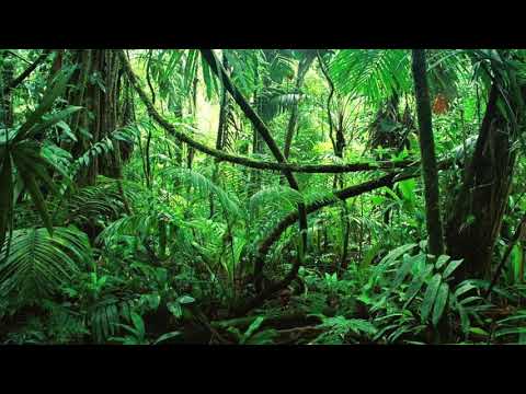 StickerBrush [5hyguy42 Anthem] (Audio)