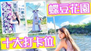 【香港打卡位】蝶豆花園 💜 EP11「十大打卡位 」拍照攻略｜IG打卡位｜天空之鏡｜草泥馬 Instagrammable Spots in Hong Kong 香港攝影好去處《艾琦遊》