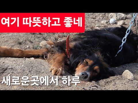 신개병대 선발대 도착
