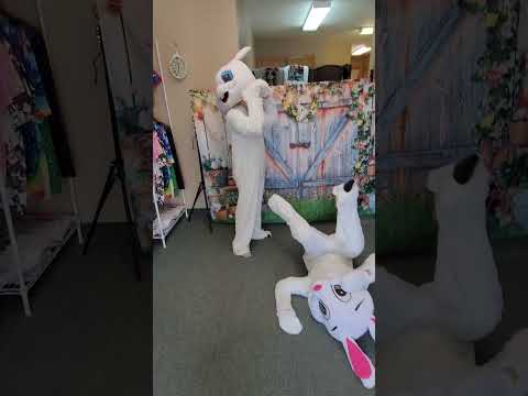 Bunny fighting 😆 #easter #bunnyfight
