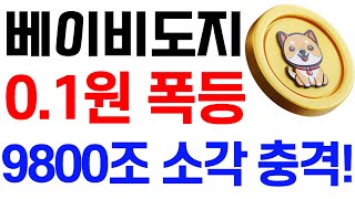 [베이비도지코인] 베이비도지 전망 0.1원 폭등 9800조 소각 충격! #베이비도지코인호재 #베이비도지코인목표가 #베이비도지코인대응 #베이비도지코인 #베이비도지코인전망