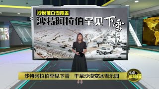 干旱沙漠被白雪覆盖   沙特阿拉伯罕见降雪 | 八点最热报 10/11/2024