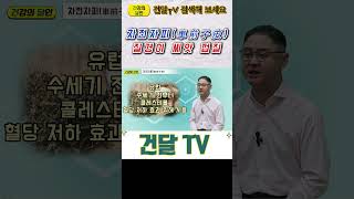 [건달TV] 차전자피(車前子皮)#식이섬유#변비해소#건달TV#건강정보