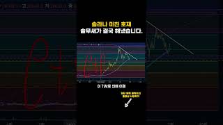 [알트코인 분석] 솔라나...믿고 있었습니다... #솔라나 #솔라나코인 #솔라나호재