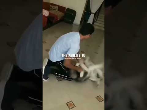 heart'touching video 🥺❤️.       #shorts #hearttouching