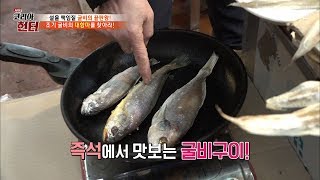 참조기 굴비와 민어 굴비 맛의 차이는? [뉴 코리아 헌터] 89회 20180212