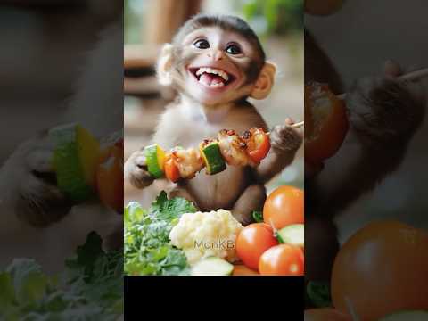 Happy baby monkey lunch time😆