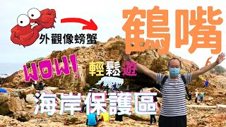 ［香港好去處Vlog1] 鶴咀 Cape D’Aguilar | 海岸保護區｜蟹洞｜雷音洞｜新手遠足路線｜香港南邊天崖海角半日遊