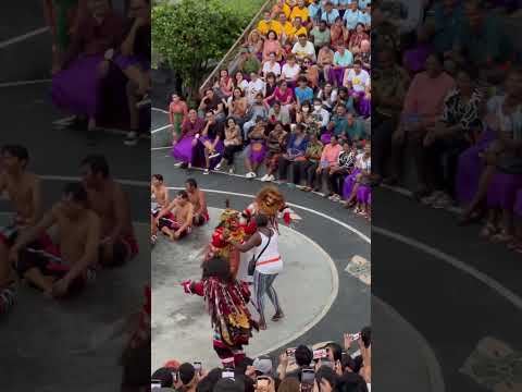 🇮🇩卡恰火舞裡搞笑的白猴王哈奴曼 (Kecak Dance - The Balinese Monkey Dance)