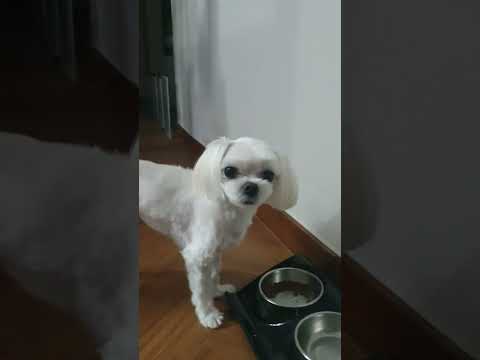 한밤중에 밥먹는 아이 관찰