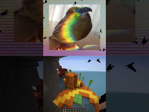 I made a bird song for bitbird