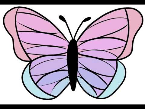 playing around with clip studio paint shorts-  butterfly drawing-  digital art.