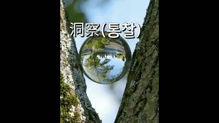 (99)洞察(통찰)의 아래단계➡️觀察(관찰)短見(단견)眼目(안목)#shorts