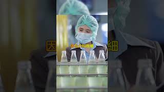 分科過細對病患的影響：醫療體系如工廠