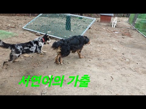 서연이의 외출