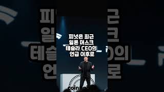 고래 투자자 바이낸스서 밈코인 피넛(PNUT) 1000만개 출금