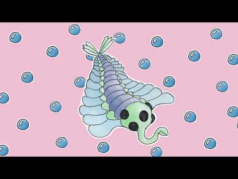 opabinia !! music for cambrian animals