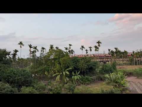 紅斑馬自強號於下淡水溪鐵橋旁奔馳|Tze-Chiang Exp. Red Zebra running frenetically near Lower Tamsui River Iron Bridge