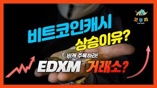비트코인캐시(BCH) 상승 이유와 전망 월가 EDXM 거래소 상장 호재?