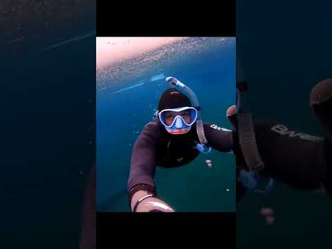 Dreaming of ice diving again soon!