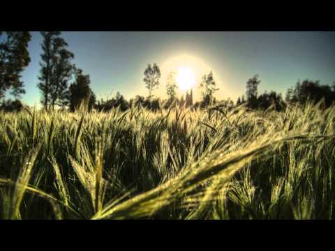 Calm Ambient Music - "Silent Sunrise"