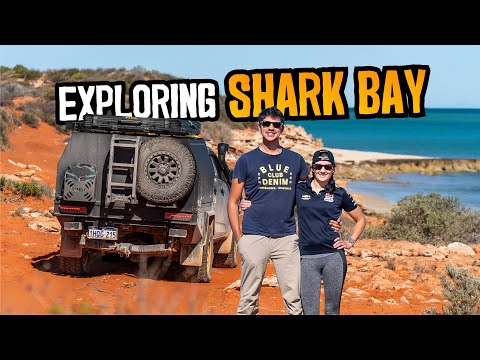 Finding an incredible beachside camp in the Francois Peron National Park | Shark Bay EP3