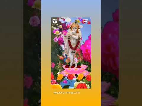 Kisine Banshi Bajai Adhi Raat Ko // #shorts #viral #trending