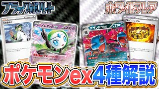 【本日初公開】メロエッタexやサザンドラexなど新ポケモンexやトレーナーズも多数！カードリストから注目カードを解説！【ブラックボルト/ホワイトフレア/ポケカ/ポケモンカード】