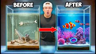 Transforming Abandoned Aquarium Into A Saltwater Reef