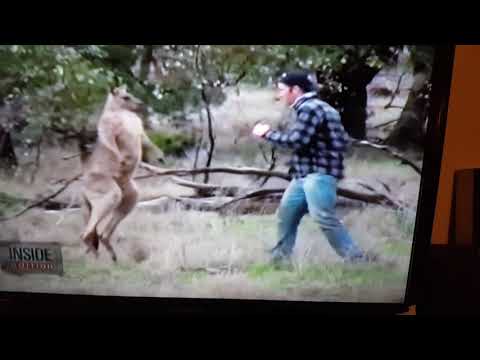 Punching