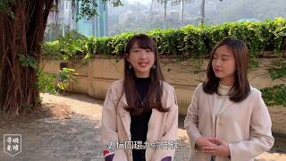 【維多利亞城界碑】帶你尋找分散「四環」的維多利亞城界碑