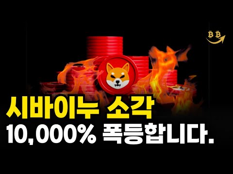[시바이누 분석] 시바이누코인 소각으로 폭등합니다. 트럼프 일론 머스크 도지코인 밈코인 시바이누 목표가 시바이누 전망 비트코인
