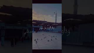 اللهم مكة يوما"#الحج #shortvideo #اكسبلور #تصويري #رمضان #podcast #funny #trending #shorts #مكة