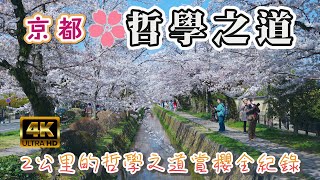 🌸京都賞櫻景點4K I 京都最美賞櫻景點 哲學之道櫻花滿開 I 用鏡頭帶你一窺2公里的哲學之道賞櫻全紀錄 I 冷門好拍的大豐神社、熊野若王子神社 I 日本旅遊VLOG