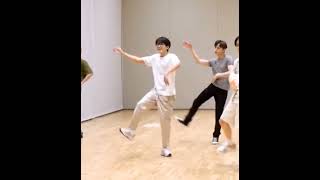 Wonwoo dancing to his favorite song cause it's easy 😃☺ #wonwoo #hoshi #seventeen#carat#shorts#tiktok