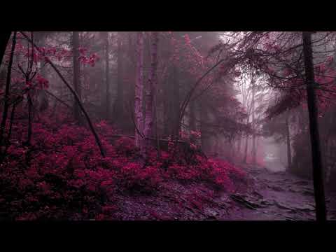 FREE Gloom - Murda Beatz x Wheezyx5 Type Beat (prod. CPR)