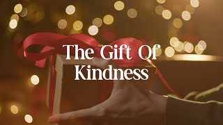 The Gift Of Kindness / Relaxing Pop #GentleRhythms #PeacefulSounds #KindnessInMusic