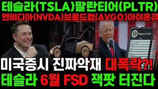 🔥텐베거대폭등🔥테슬라(TSLA)팔란티어(PLTR) 엔비디아(NVDA)🔴5분전 긴급속보🔴테슬라 로보택시(FSD) 대폭등 재료 떳다! 개미털기 절대 속지마세요! [브로드컴 미국증시]